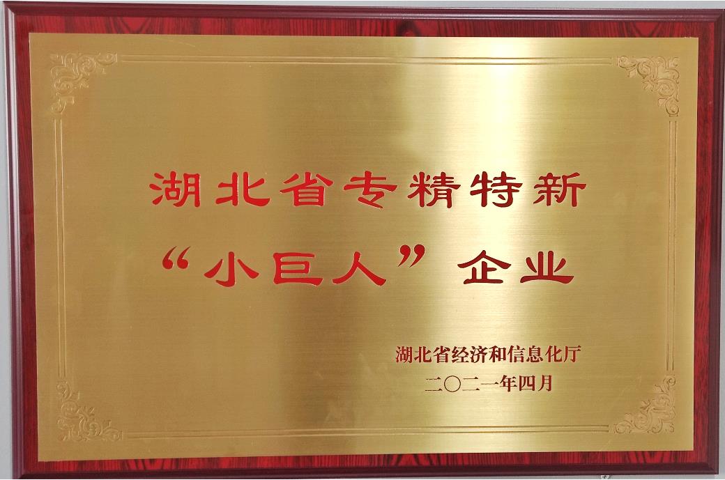 湖北省专精特新&ldquo;小巨人&rdquo;企业